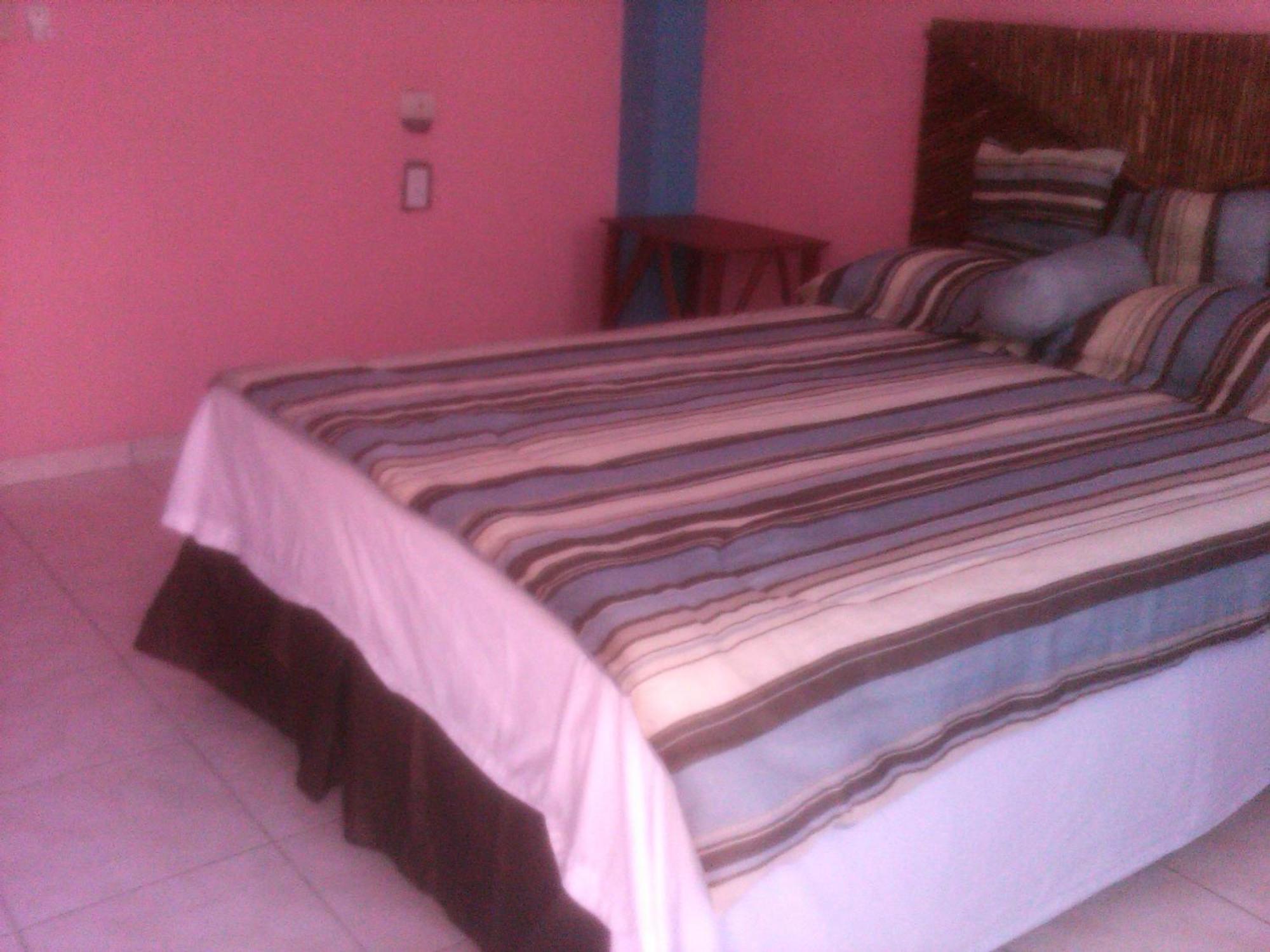 La Delphina Bed And Breakfast Bar And Grill La Ceiba Dış mekan fotoğraf