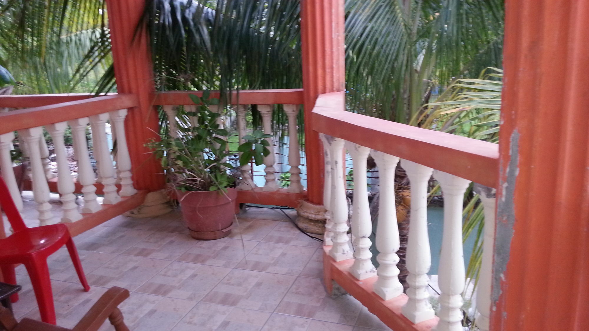 La Delphina Bed And Breakfast Bar And Grill La Ceiba Dış mekan fotoğraf